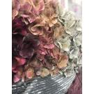 Detail of Roses by Susan Cole 